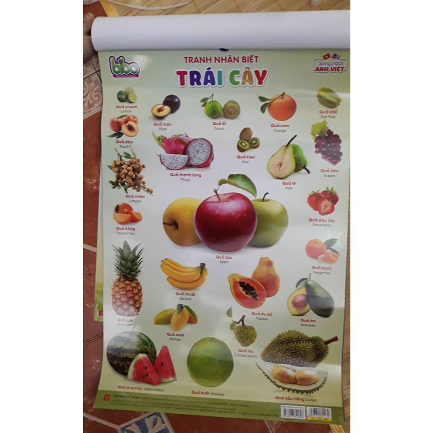 Tranh treo tường 14 chủ đề song ngữ cực kỳ cần thiết cho bé có quét mã nghe âm thanh