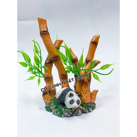 BỤI TRÚC TỂU CẢNH TRANG TRÍ HỒ CÁ NON BỘ CAO 15CM