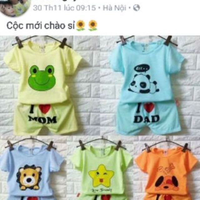 10set cater chip