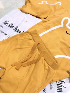 Bộ nỉ next