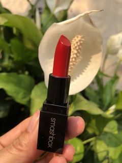 Son bobbi brown