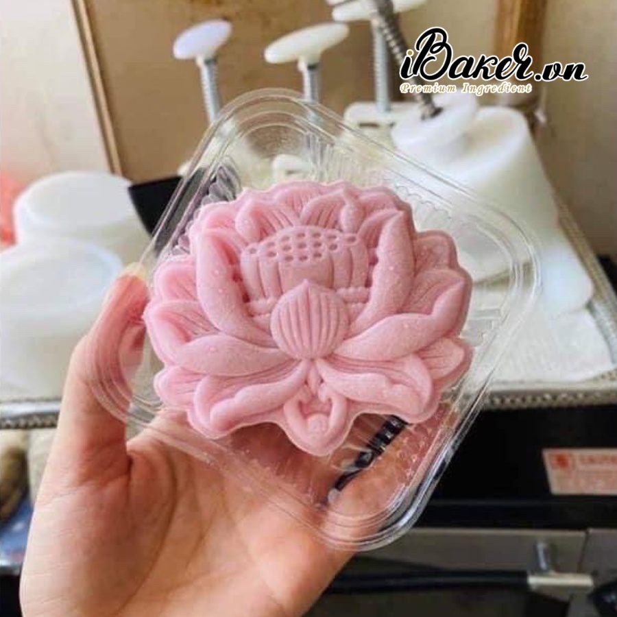 [Mẫu mới 2022] Khuôn trung thu lò xo 150g - Đài sen 1 mặt