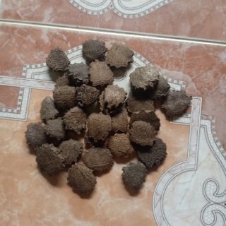 Hạt gấc đã rang 1kg
