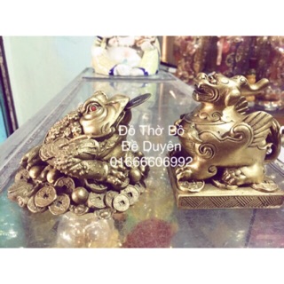 Combo ông cóc, ông tỳ hưu đồng