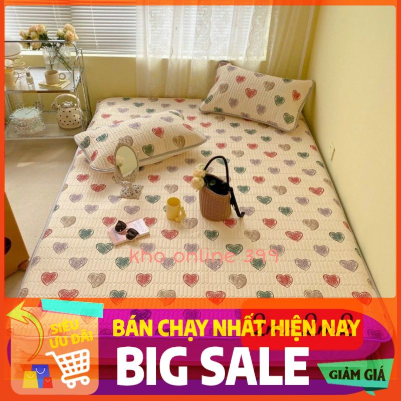 [RẺ VÔ ĐỊCH] chiếu điều hòa cao su non tencel đẹp 1m6, 1m8, 2mx2m2, chăn ga gối nệm, chiếu điều hòa