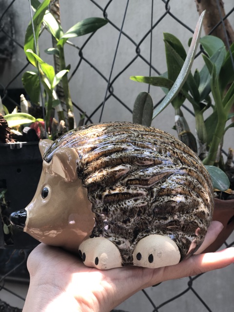 TƯỢNG GỐM CON NHÍM trang trí 🦔