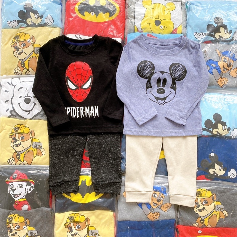 Set 2 bộ ngẫu nhiên áo cotton quần nỉ cho bé trai cực đẹp size từ 10-24 cân