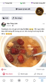 COMBO 10 ZIP YẾN TỪ TÂM