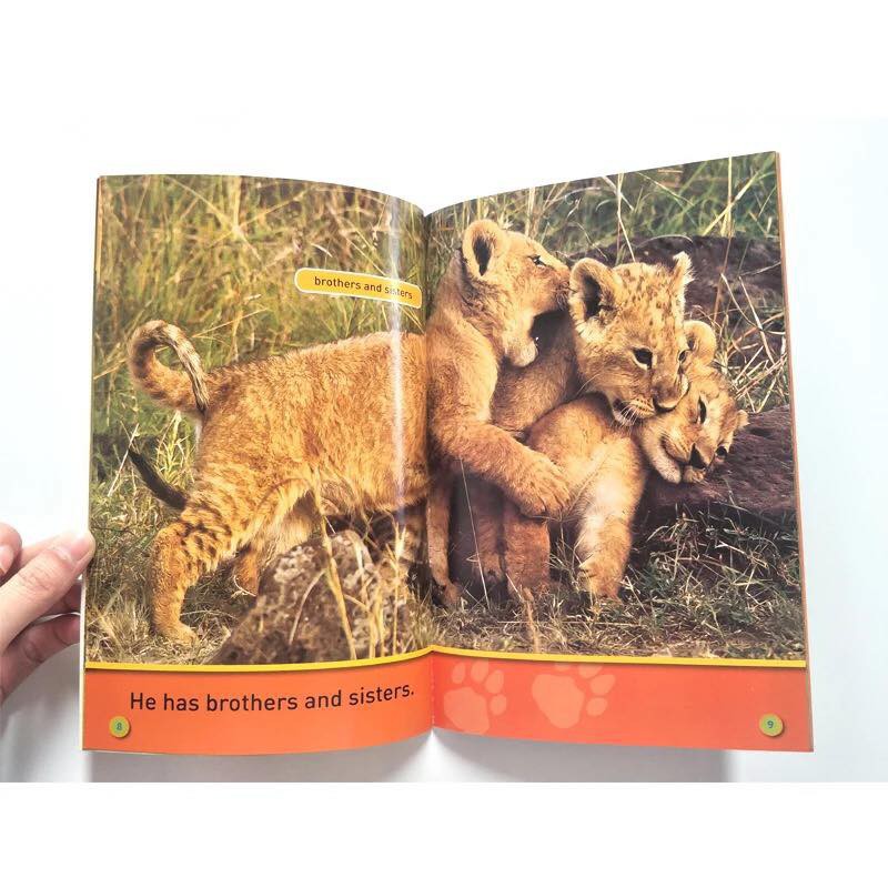 Sách - National Geographic Pre-Reader - Grade K