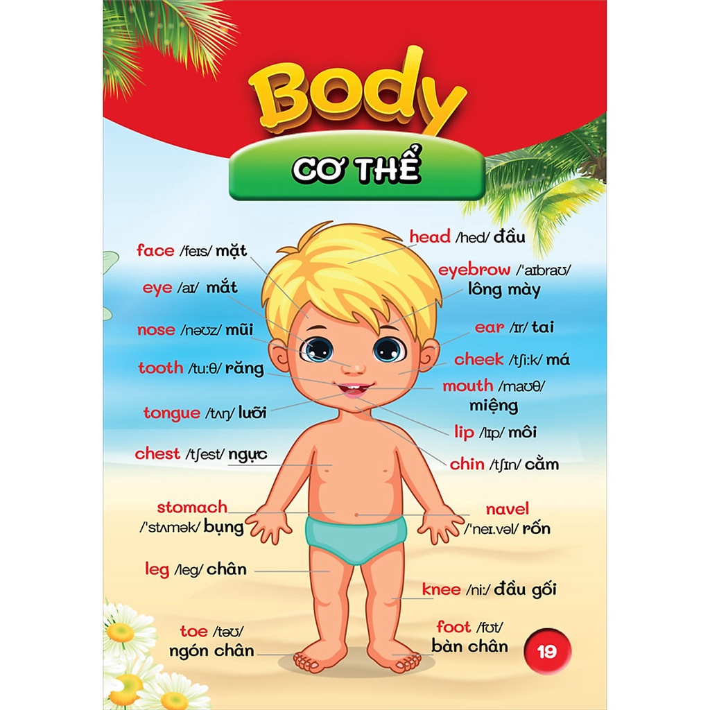 Sách- Từ điển bằng hình đầu tiên của bé