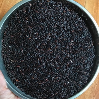 Gạo LỨT ĐEN dẻo Điện Biên dành cho thực dưỡng EATCLEAN gói 500gr-1kg
