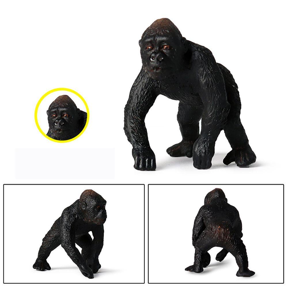 Mô Hình Chimpanzee Sống Động Như Thật Làm Quà Tặng Khoa Học &amp; Tự Nhiên Hoang Dã Giáo Dục Sớm