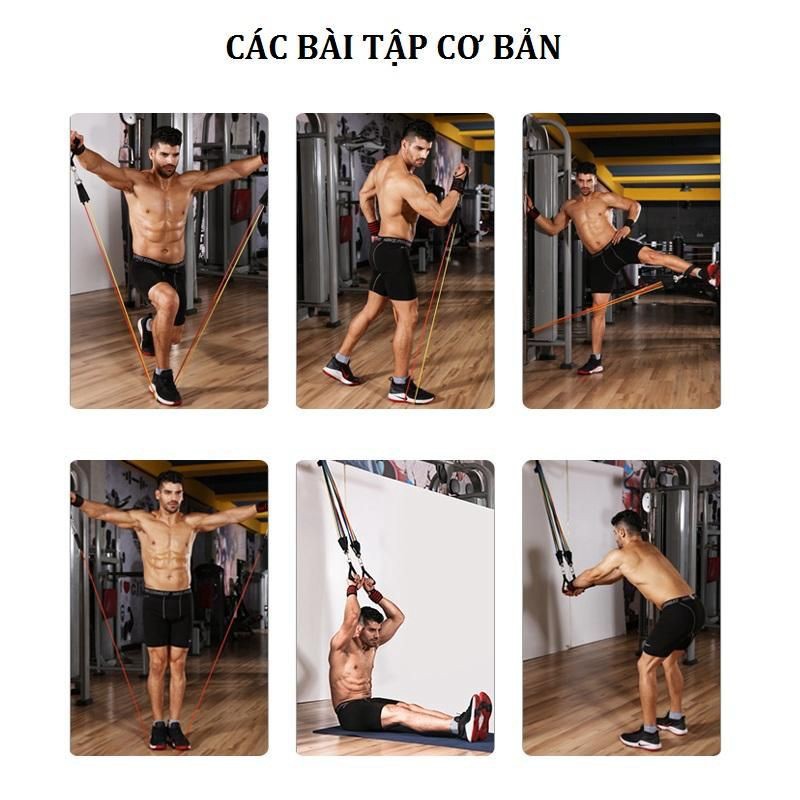 Bộ Dây Đàn Hồi Tập Thể Hình - Dụng Cụ Tập GYM Dây Ngũ Sắc Cao Cấp