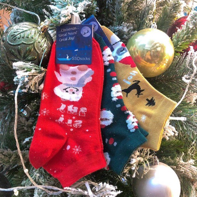 combo tất noel