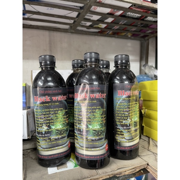 Chế phẩm sinh học Black Water. Nước lá bàng cho bể cá cảnh, có lợi cho cá cảnh, cân bằng sinh thái cho bể cá.