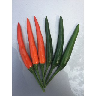 Hạt giống ỚT CHỈ THIÊN F1 quả dài 5-6cm rất cay