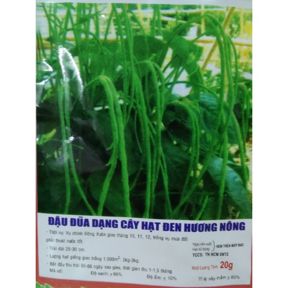 HẠT ĐẬU ĐŨA HẠT ĐEN DẠNG CÂY - GÓI 20 GRAM