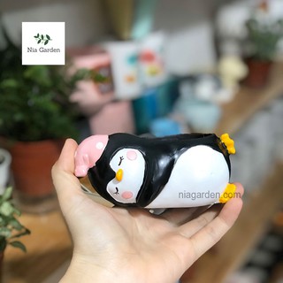 Chậu chim cánh cụt ngủ trồng cây để bàn