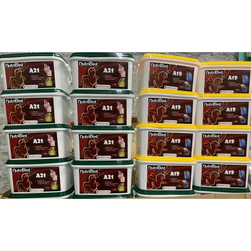 Bột Nutri A19/A21 cho vẹt non.