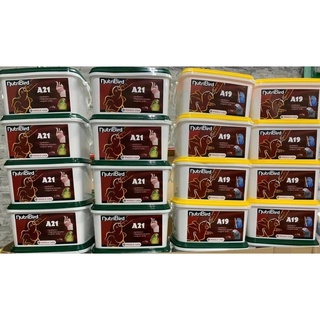 Bột nutri a19/a21 cho vẹt non.