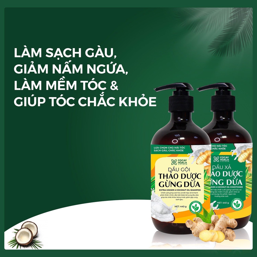 Dầu gội/Dầu xả hữu cơ gừng dừa Cocayhoala thảo dược cao cấp cỏ cây hoa lá đánh bay gàu giảm ngứa dung tích 440g/chai