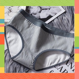 Quần lót nữ ❣️❣️❣️ freeship ❣️❣️❣️ quần chíp nữ cotton cao cấp, mềm mại thoáng mát
