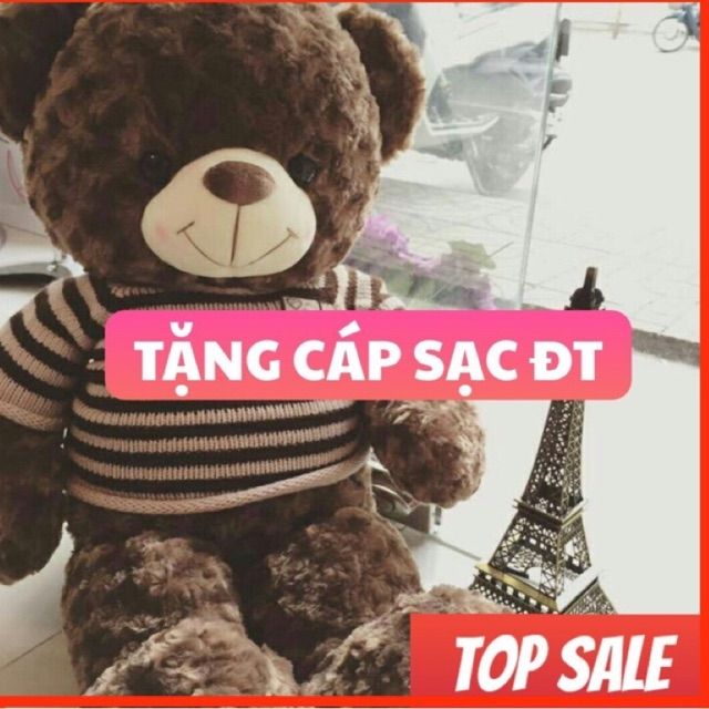 (GIÁ HỦY DIỆT) GẤU TEDDY KHỔ VẢI 1M