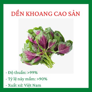 Rau Dền Khoang Cao Sản loại F1 gói 20 gram nhiêu hạt giống dễ trồng và dễ chăm sóc R003