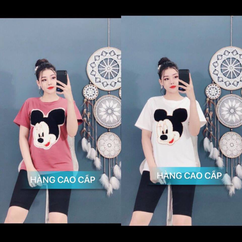 SÉT BỘ THỜI TRANG CAO CẤP ĐẦU CHUỘT LÔNG-SB82