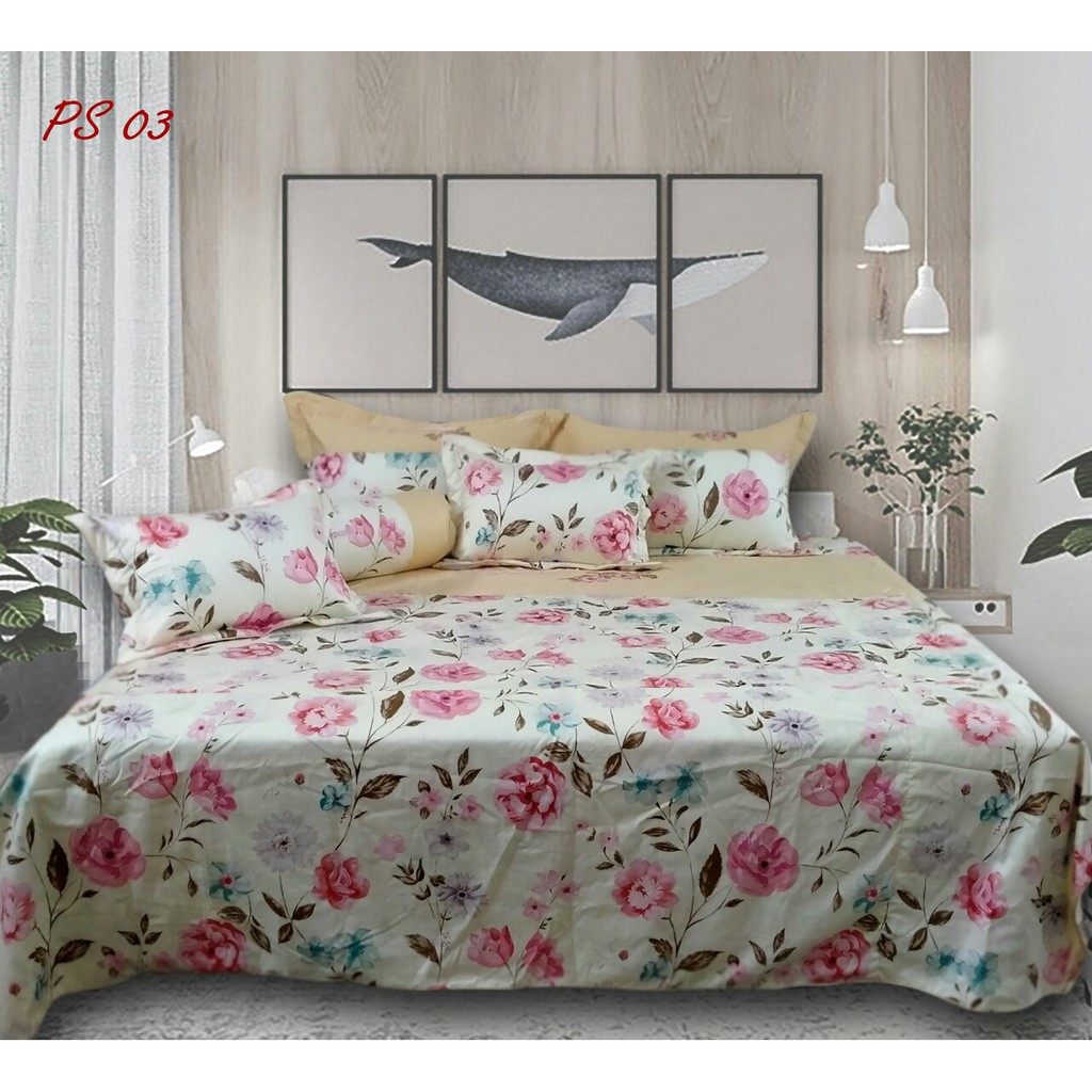Bộ ga chun chần,gối DREAMLAND PS03