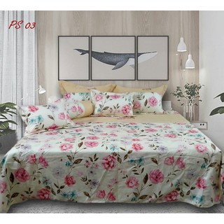 Bộ ga chun chần,gối DREAMLAND PS03