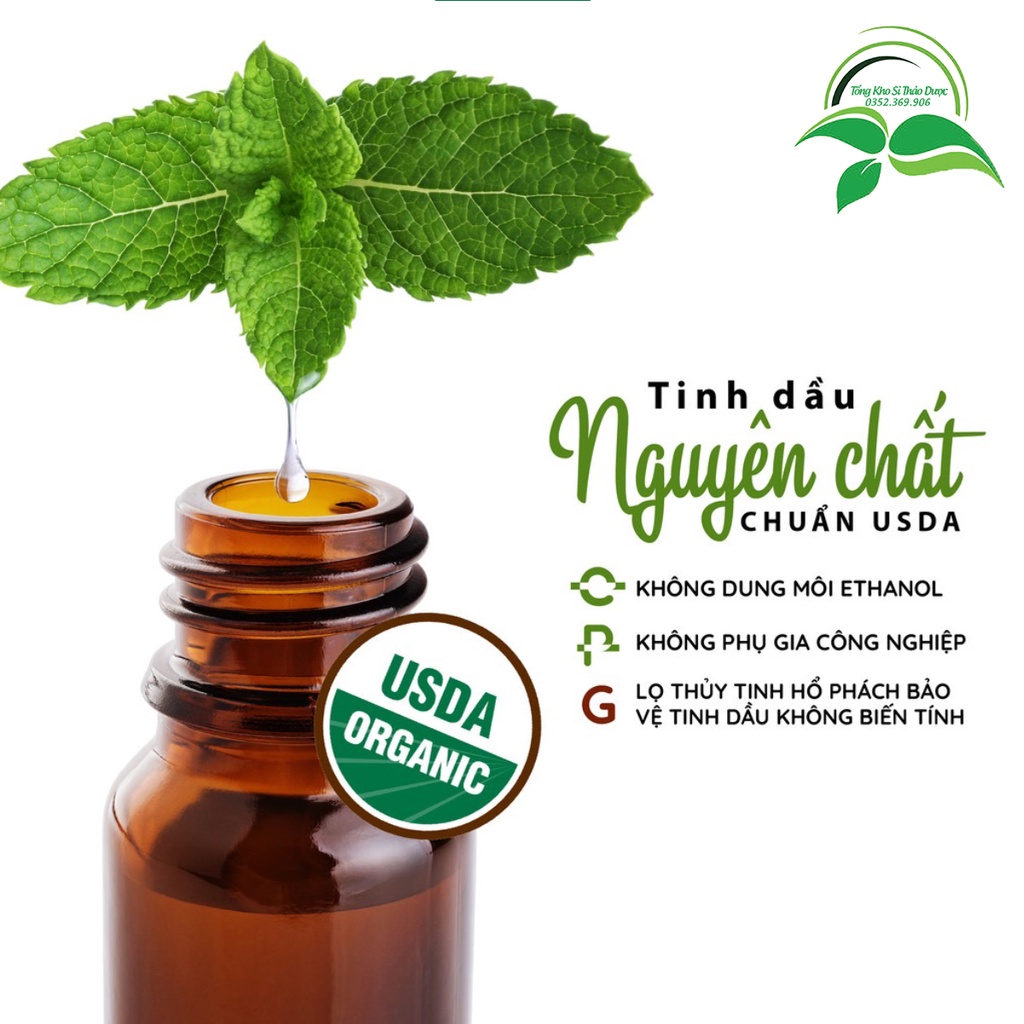 Tinh dầu Húng Quế 20ml, giảm đau đầu, cải thiện tuần hoàn máu, giúp ngủ ngon, đuổi muỗi, côn trùng.