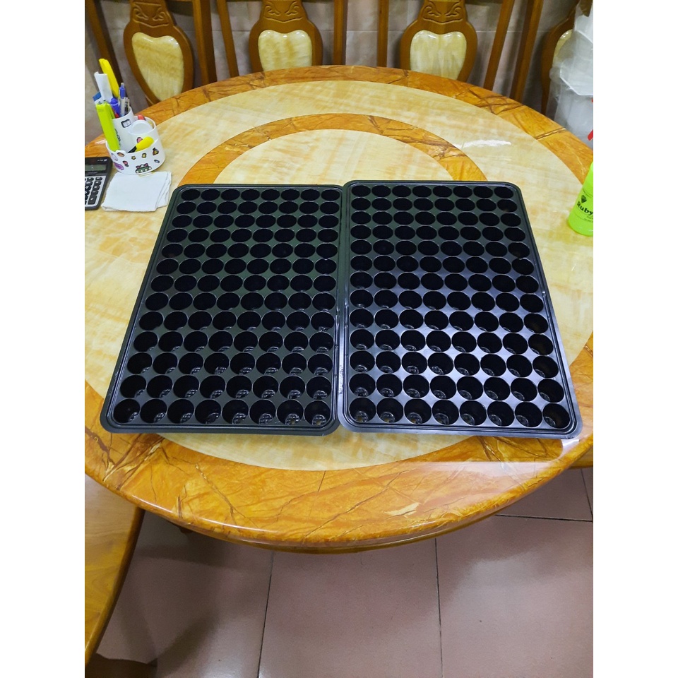 Khay Ươm Hạt Gống 104 lỗ