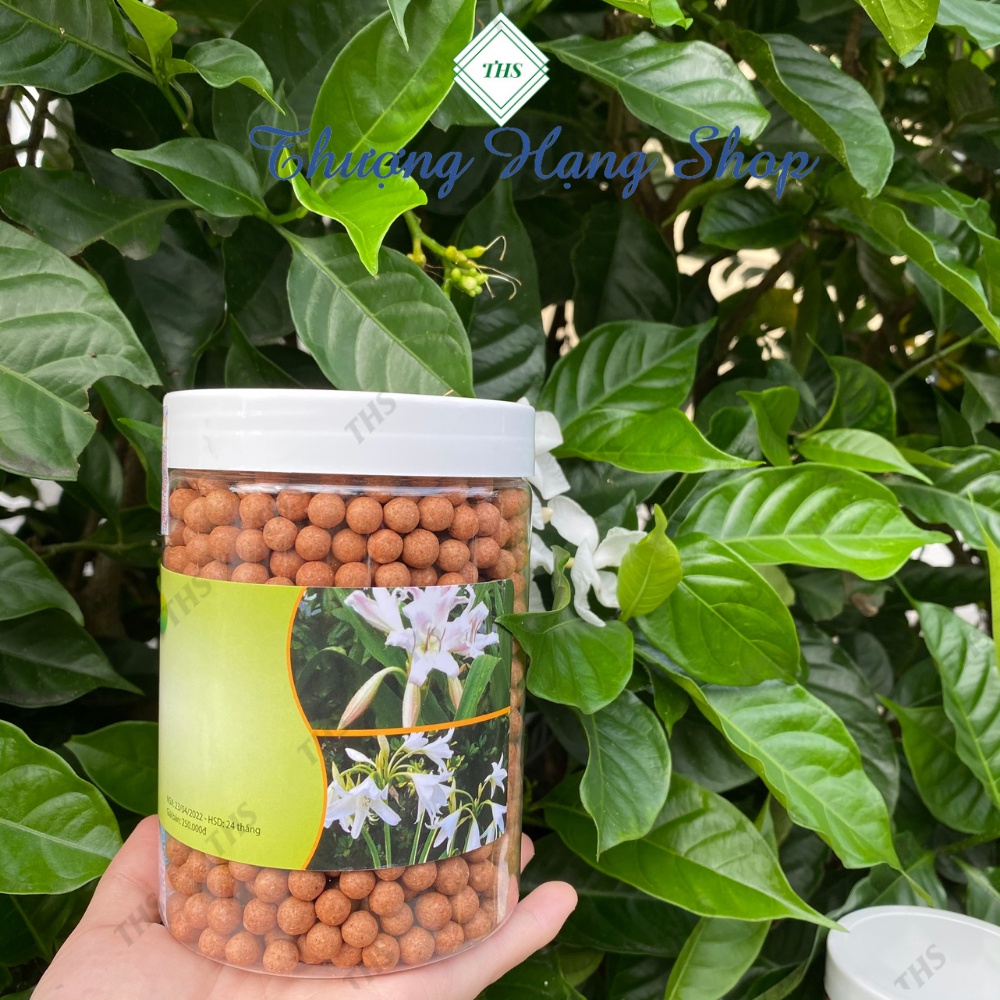 Viên Trinh Nữ Hoàng Cung Cao Xạ Đen