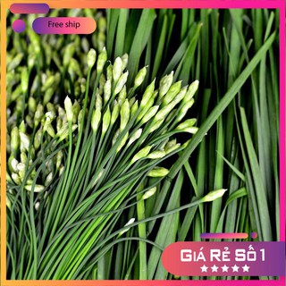 Hạt giống Hẹ Ăn Bông (1g)