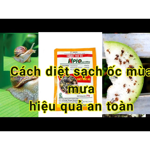 Thuốc Trừ Ốc NPIO DAN 800WP (20g)