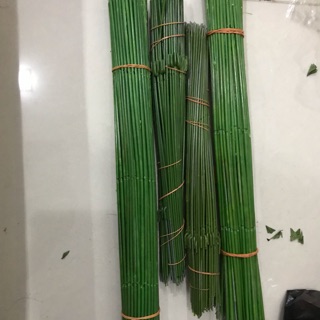 Kẽm cành bọc nhựa làm hoa