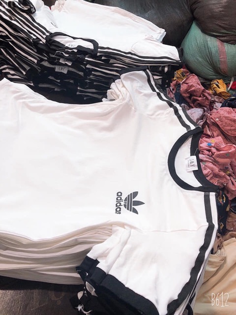 Áo phông thể thao dass