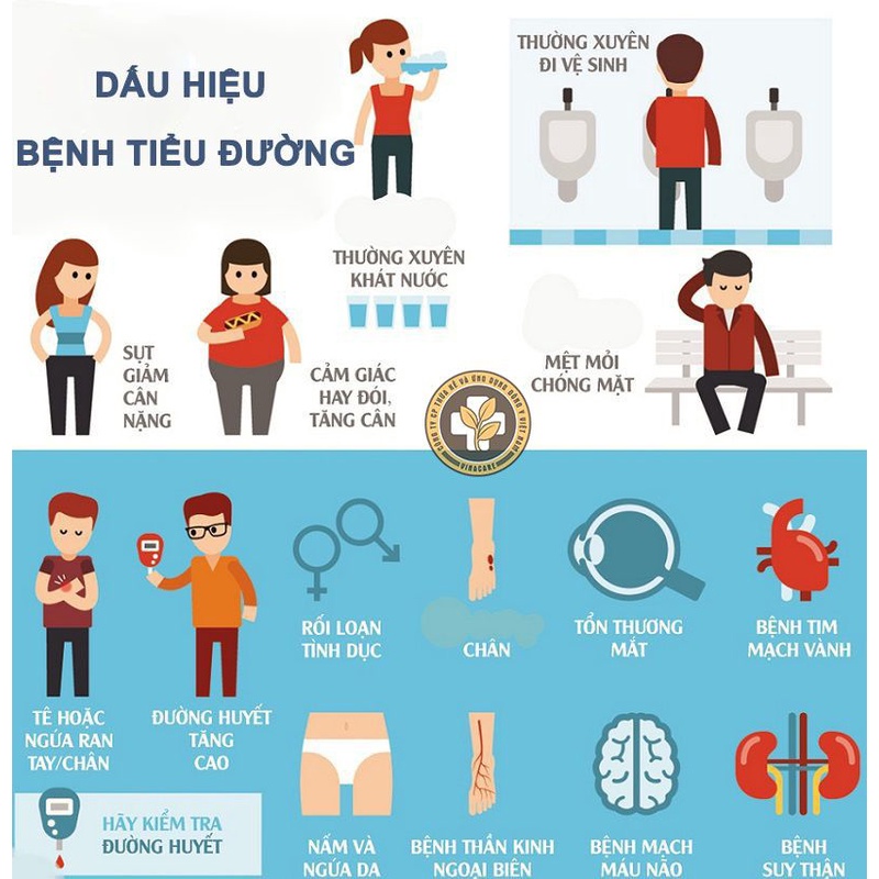Trà tiểu đường thảo mộc giúp hạ đường huyết, trà túi lọc giảm nguy cơ thái tháo đường, hạ mỡ máu, Thông Cát HCM