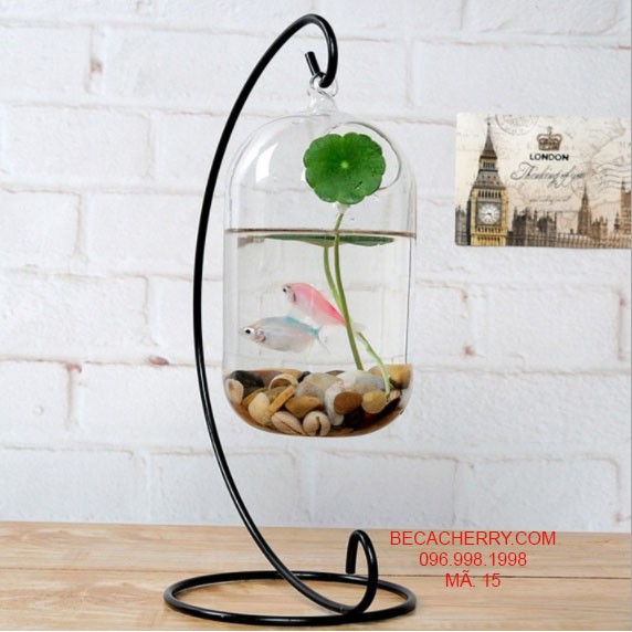 _Bình thủy tinh treo dưa cỡ to  20x10cm không kèm giá treo