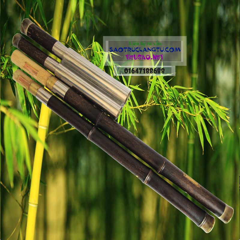 Sáo Mèo Kép Trúc Tím loại Tốt