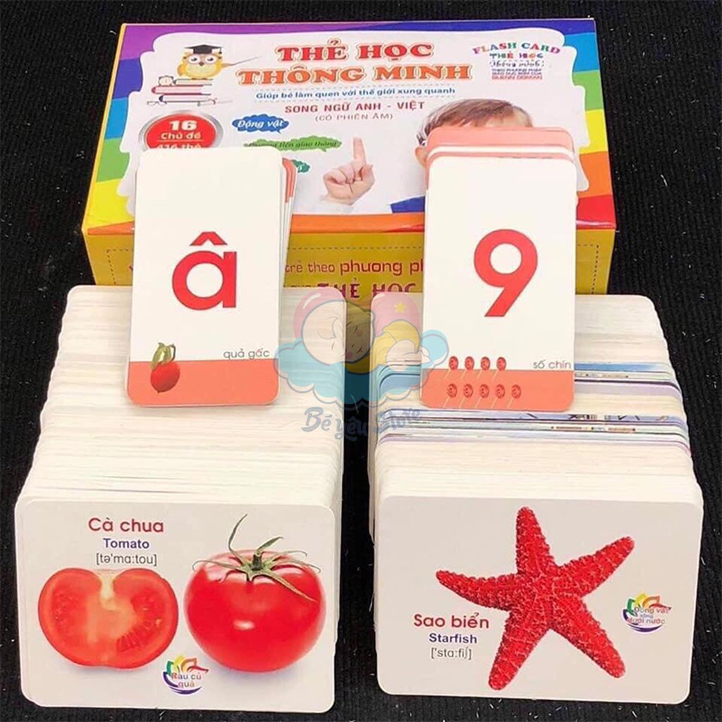 Bộ thẻ học thông minh 16 chủ đề tiếng Anh tiếng Việt giúp bé vừa học vừa chơi
