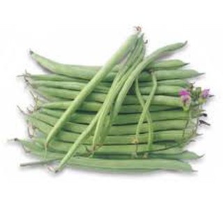 20 GR - HẠT GIỐNG ĐẬU COVE LEO HẠT ĐEN