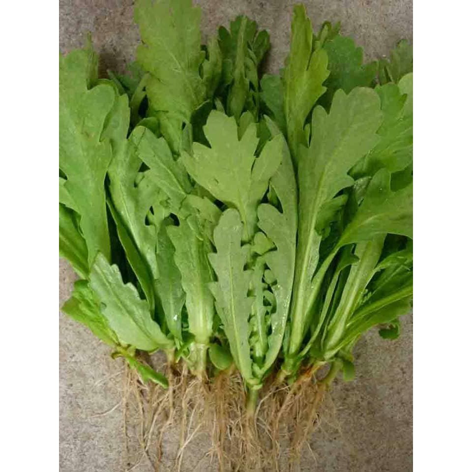 hạt giống rau cải cúc