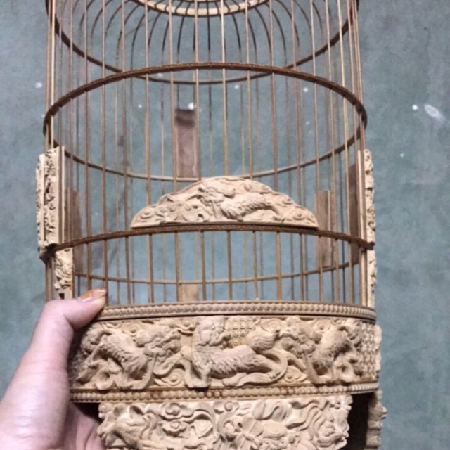 Khuyên đục rồng