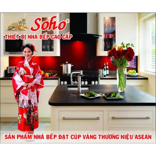 Bếp âm Soho 3799BBI