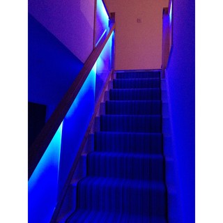 Đèn LED dây 5050 10m