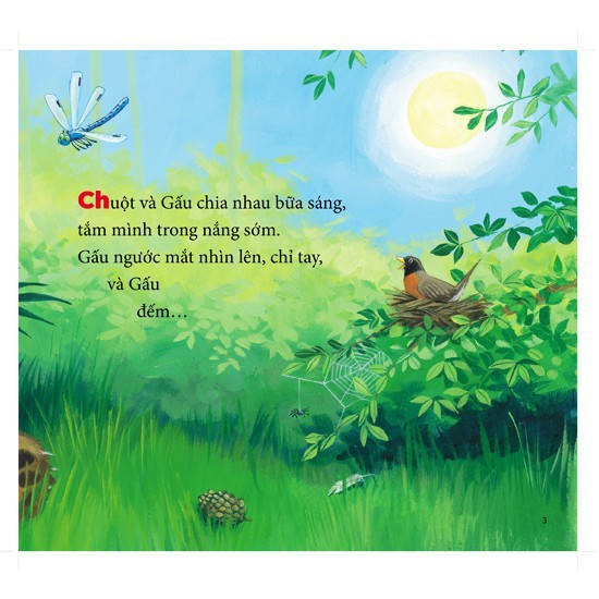 Sách Song ngữ Việt Anh - Cùng Gấu Khám Phá - Bộ 3 Cuốn Gigabook