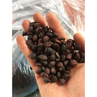 Hạt dổi rừng 100g