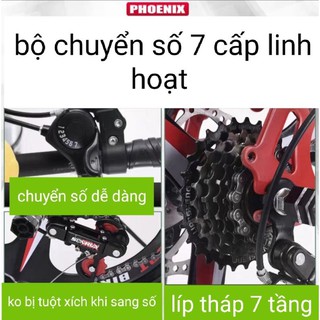 Xe đạp gấp gọn Phoenix Basic